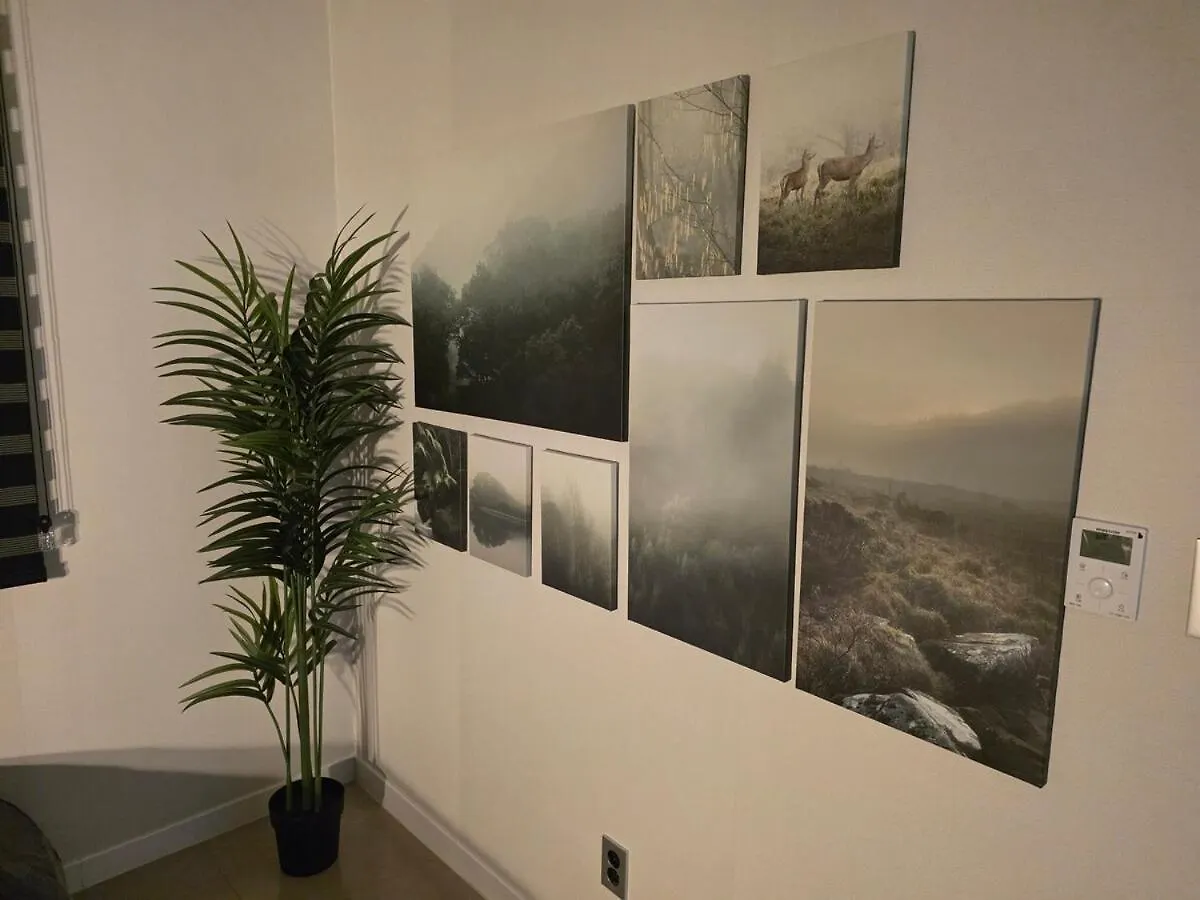 신규 오픈-고급 감성 쓰리룸, 객실별 특색